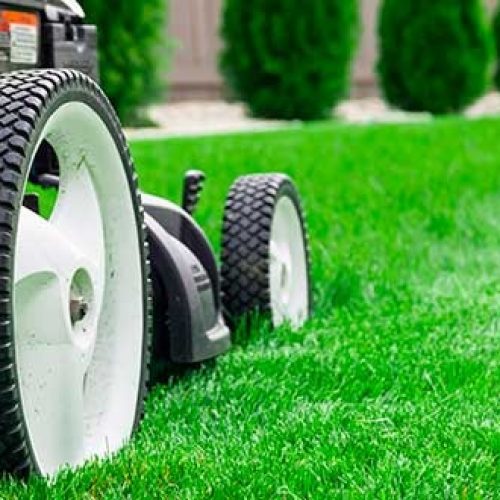 Top 5 Tips For Lawn Care