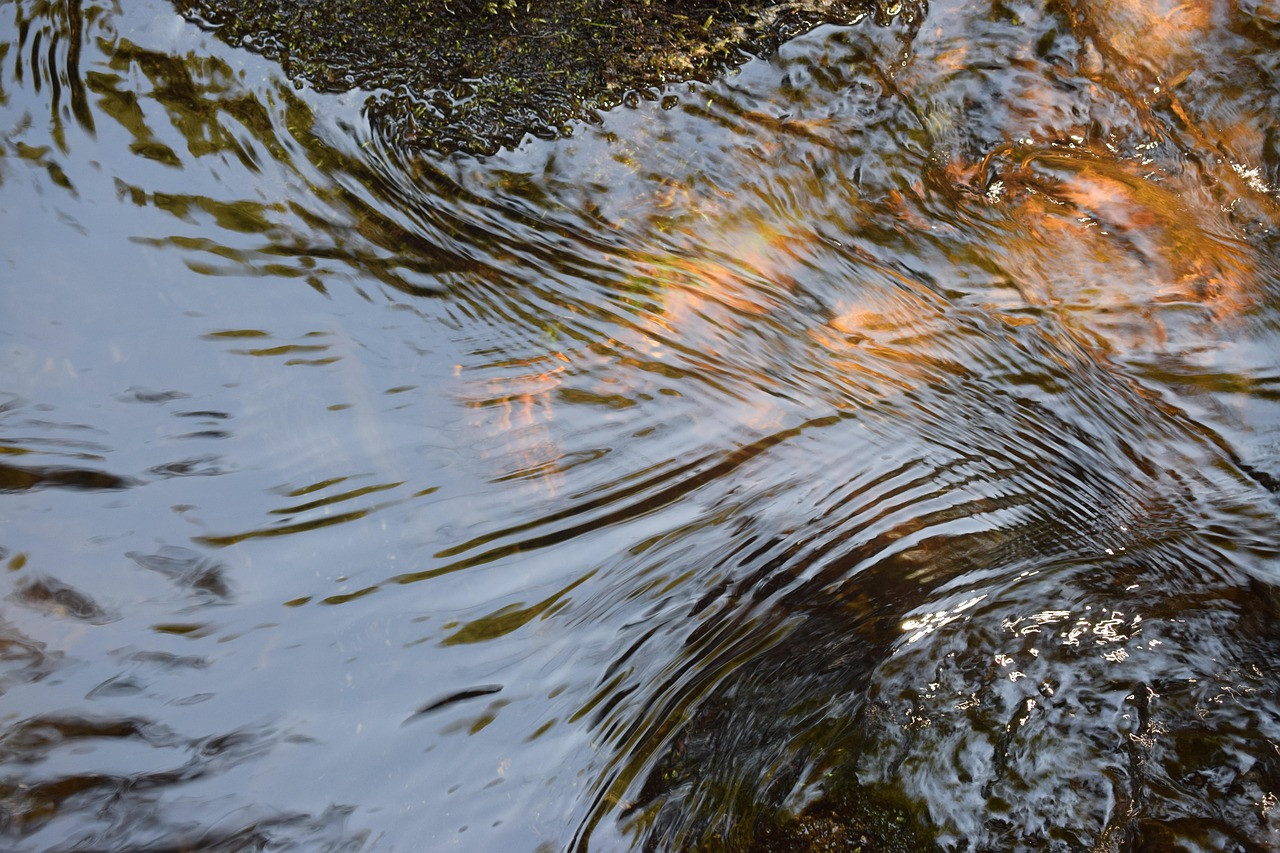 Water, nature, features — Atomic Wallet: Your All-in-One Solution for Crypto Management