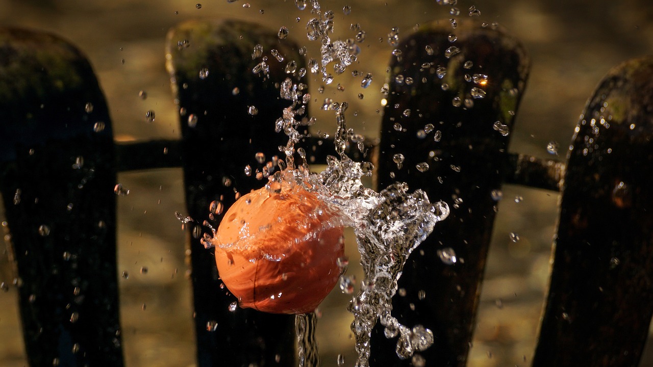 Ball, water feature, wet — Atomic Wallet: Your Ultimate Guide to Download and Use