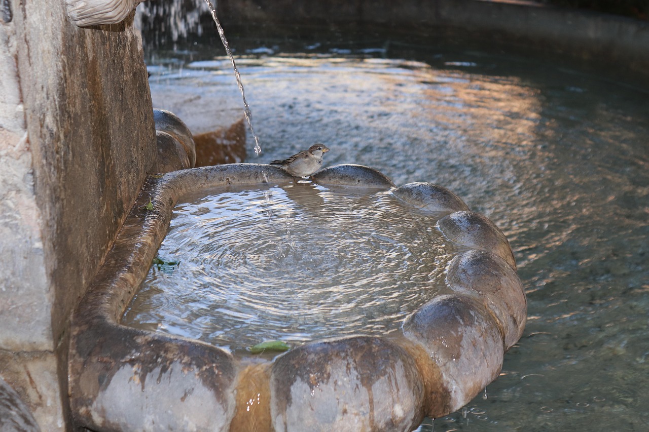 Water feature, fountain, bird — BalloniX - Complete Gaming Experience Guide - Thorough Examination