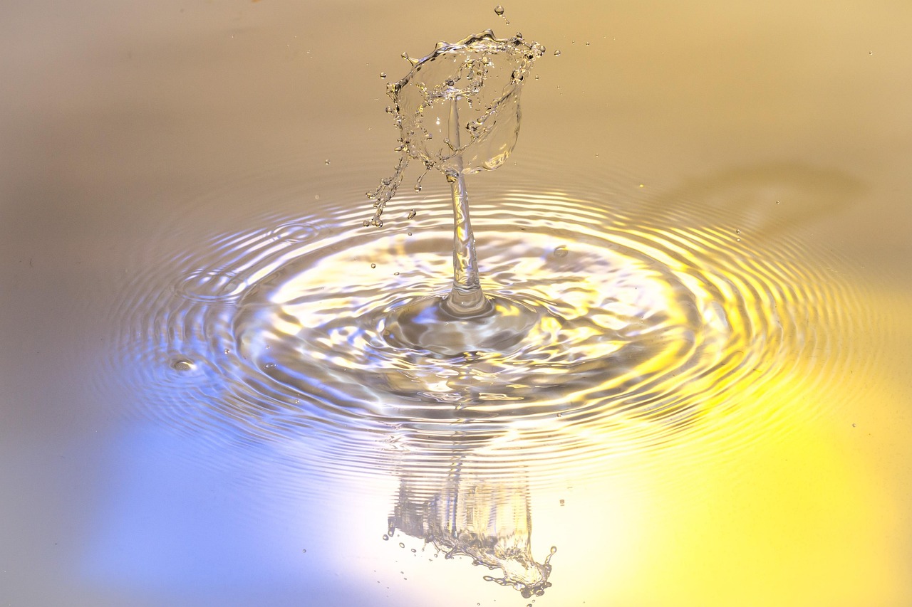Drops, water, nature — Discovering Bscscan: Your Comprehensive Tool for Crypto Analysis