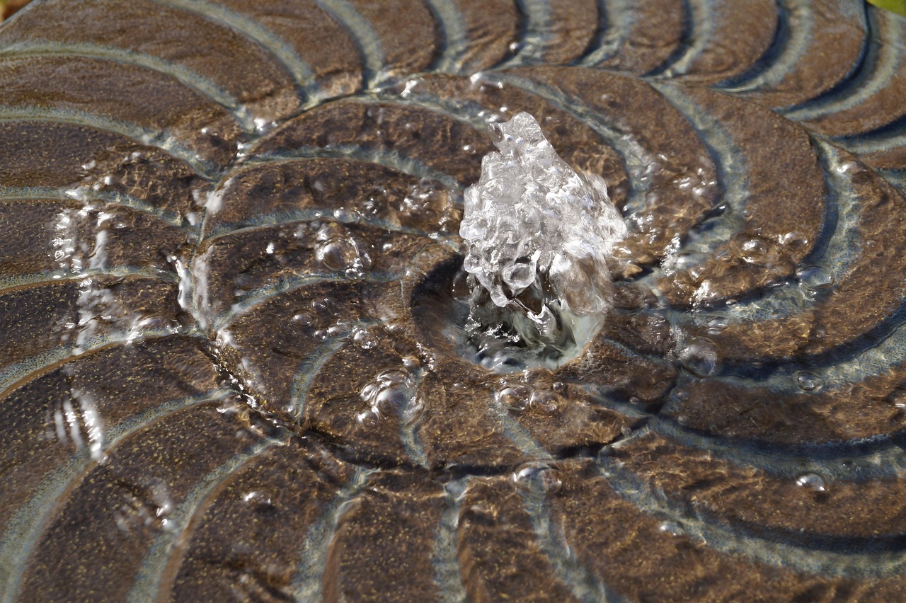 Fountain, nature, water — Experience Seamless Transactions with Ledger Live App