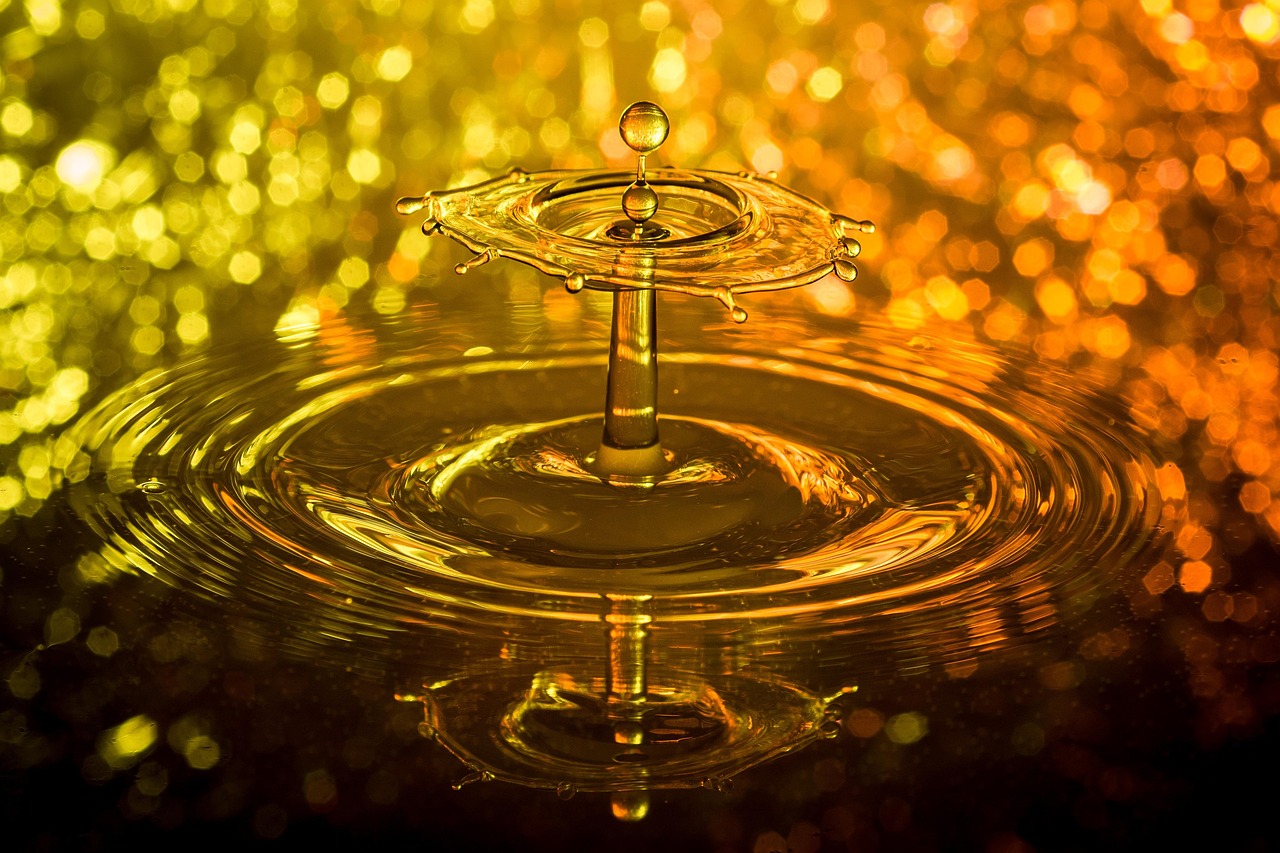 Drops, nature, water — Harnessing Bscscan for In-Depth Crypto Analysis