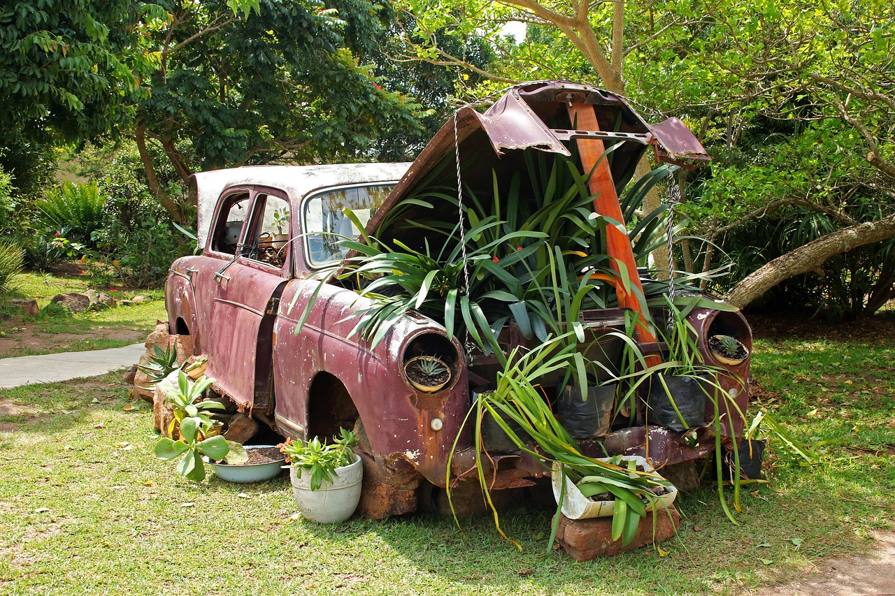 Vintage car, plants under bonnet, car —