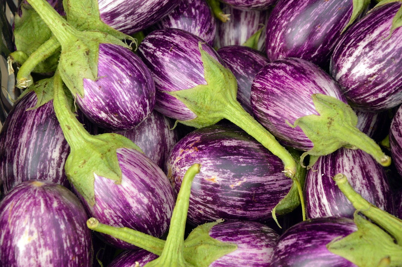Eggplant, fruit, vegetables — Roulette Low Stakes USA for Newcomers