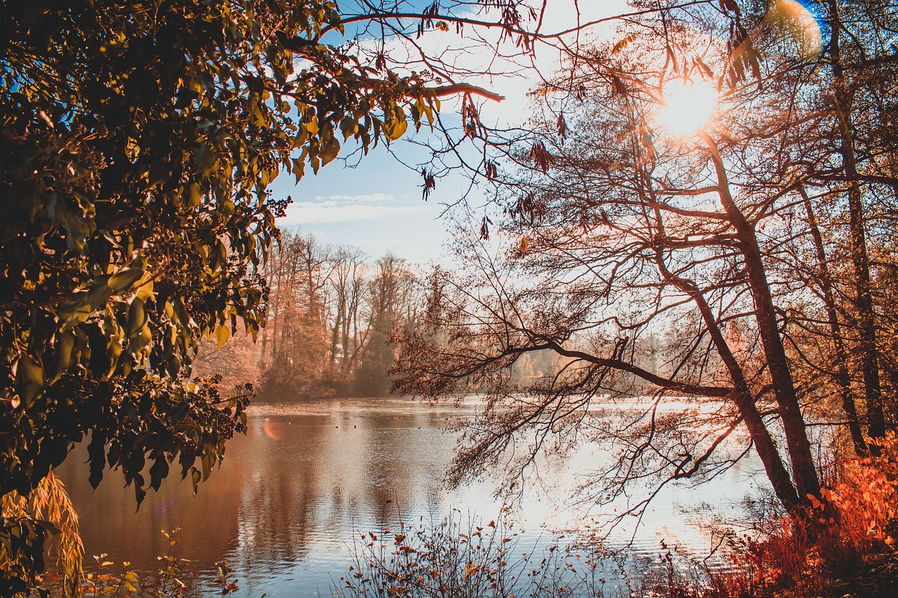 Pond, park, sun — The Ultimate Guide to 3 Dollar Deposit Casinos