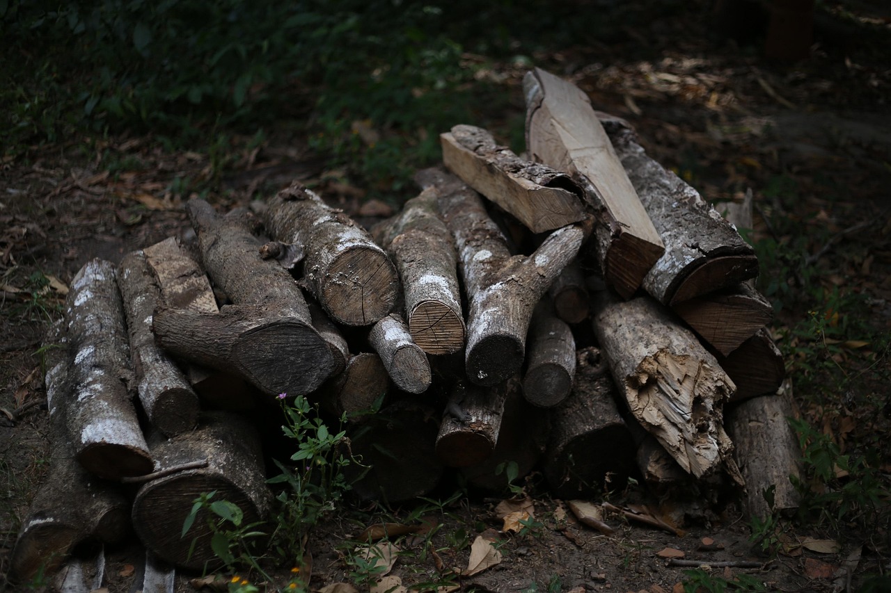 Firewood, wood, coal — The Ultimate Guide to Playing Live Roulette Canada Risk Free