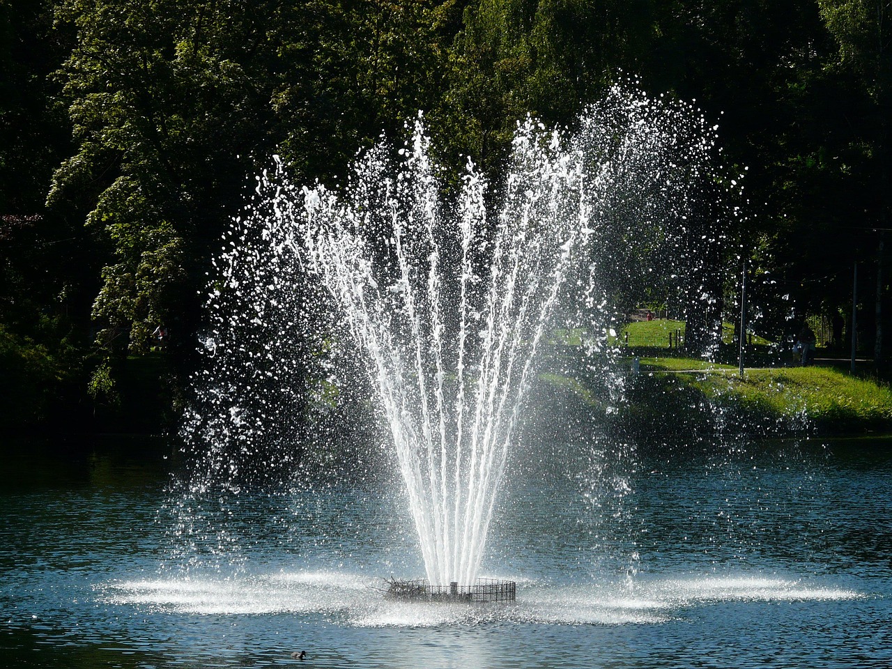 Fountain, nature, water — Unleashing Potential with Jupiter Swap: A Trader's Guide